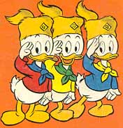 Castors Juniors